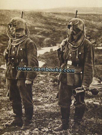 Wehrmacht / RAD mosquito protection