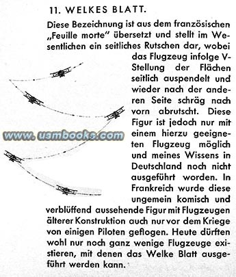 Fieseler Stunt Flying illustration