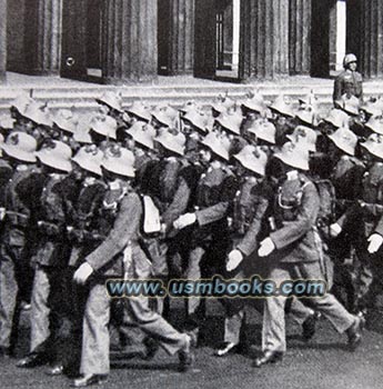 German helmet decorations
