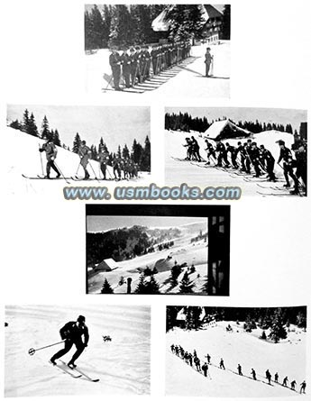 RAD sport champsionships