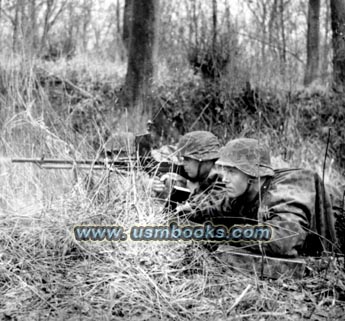 Waffen-SS helmet