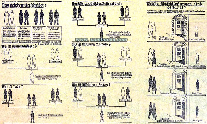 Nazi genetics, the Jewish race