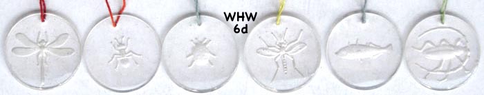 WHW glass insects